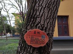 -桂林独秀峰王城景区