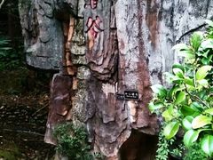 -明月山天沐温泉度假村