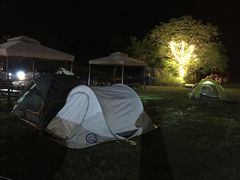 景点-汤山温泉房车营地 茶温泉