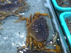 -渔傅·蓝海岸霞浦海鲜(正祥店)