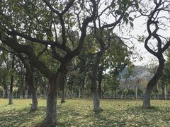 -生物岛餐厅