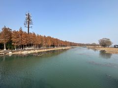 -苏州太湖湖滨国家湿地公园