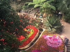 -南山植物园