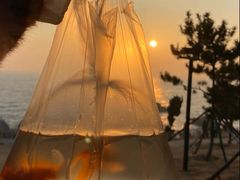 -海合安青岛极地海洋公园