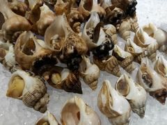 -鹭江潮餐厅•福建菜(鹭江佲家酒店)