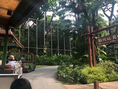 -新加坡飞禽公园