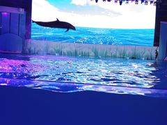 -海合安青岛极地海洋公园