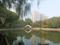 -团结湖公园