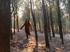 -泰山风景名胜区-普照寺