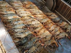 -蒙肥羊·酸汤潮牛·鲜牛肉火锅烤肉自助(岗顶店)