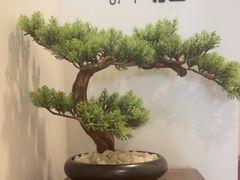 -乐老大耳道·可视采耳·禅洗(柏林爱乐直营店)