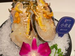 -海月轩海鲜豆捞(紫金塔店)
