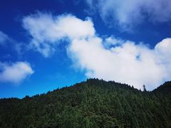 -武陵山森林公园