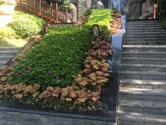 -七彩云南古滇温泉山庄