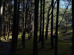 -玉苍山国家森林公园