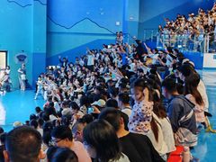 -石家庄极地海洋世界