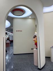 -IP SALON
