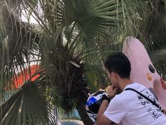 -重庆海昌加勒比海水世界
