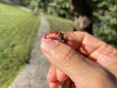 -北京宽沟会议中心