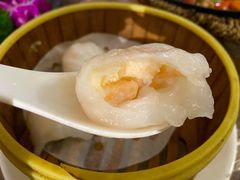 虾饺-李记潮汕砂锅粥(营福路店)