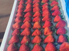 -西郊国际农产品交易中心