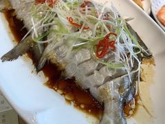 -正苑26年海鲜烤肉•牛尾汤汤饭(东港店)