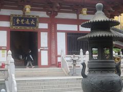 -灵谷景区