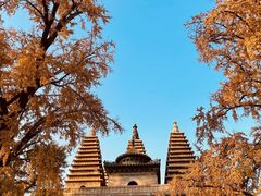 -北京石刻艺术博物馆(五塔寺)