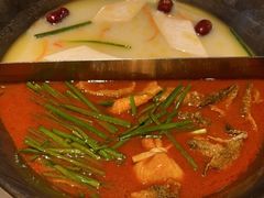 -九鼎轩脆毛肚火锅(三钢里店)