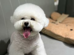 -美联众合动物医院·24h转诊中心