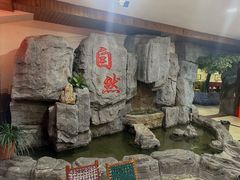 -洪沟崖张记炒鸡店(聚才路店)