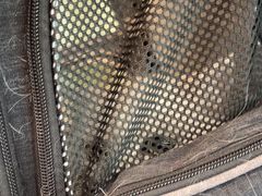 -瑞派申生动物医院·24H夜诊·国际动物医疗中心·骨外科(吴中路店)