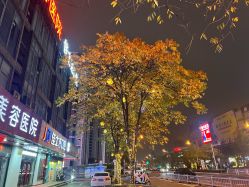 -丽都整形美容医院·全国连锁旗舰店