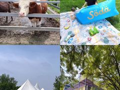 -圣露庄园·露营·烤肉·亲子