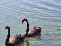 -长春市南湖公园