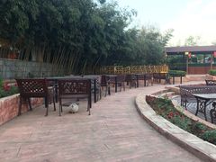 -静之湖湖畔餐厅