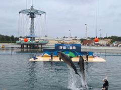 -秦皇岛乐岛海洋王国