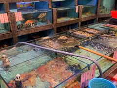 水产区-新金盛·海鲜酒楼(盐田店)
