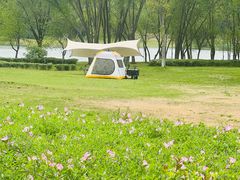 -长广溪湿地公园