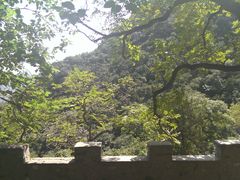 -北京鹫峰国家森林公园