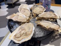 -蚝大仙横琴生蚝火锅(中央汇店)