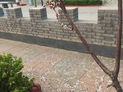 -兴芮温泉度假区