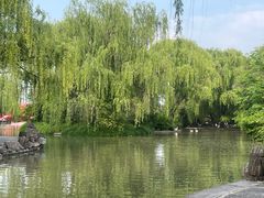 -洛阳市隋唐城遗址植物园