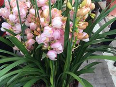 -蓉城小馆(科兴店)