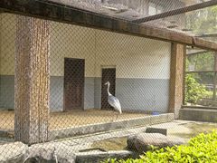-南昌动物园