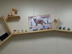 -美联众合爱康动物医院•复杂内科•肿瘤科•牙科•腔镜诊疗中心