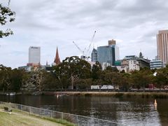 -墨尔本皇家植物园