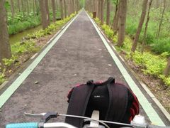 -合肥滨湖国家森林公园