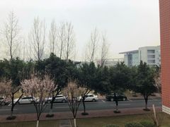 -西南政法大学(渝北校区)