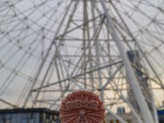 -南昌之星游乐场